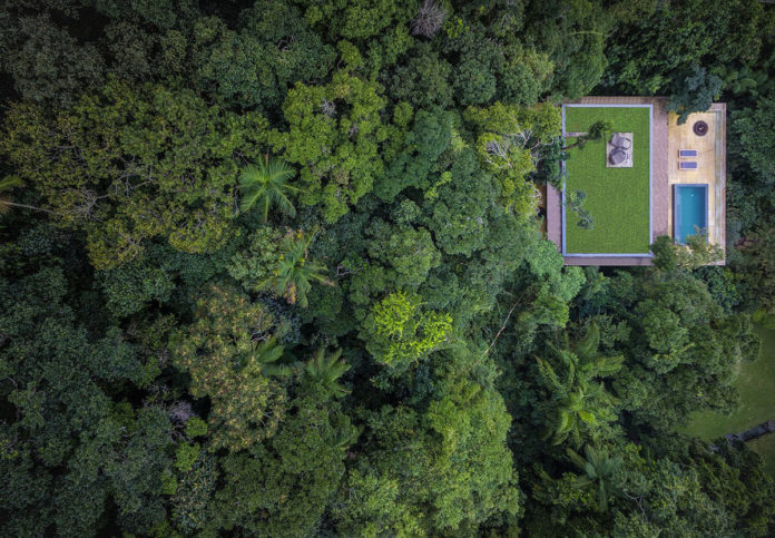 Jungle_House_in_rain_forest_in_Brazil_00006