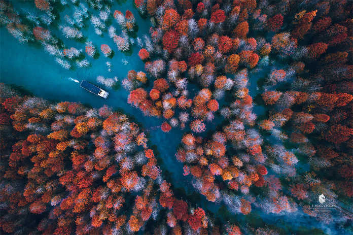 Хвост осени. Фотографии-победители конкурса аэро-фото SkyPixel Photo Contest 2017